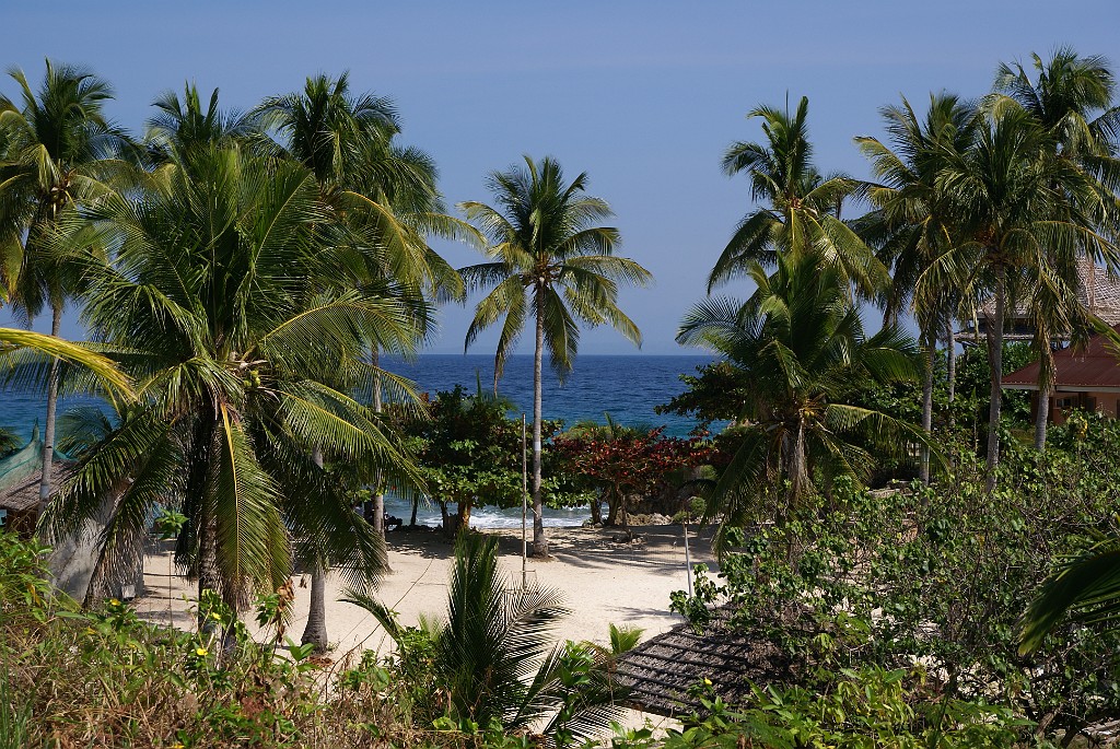 DSC09319.JPG - Malapascua