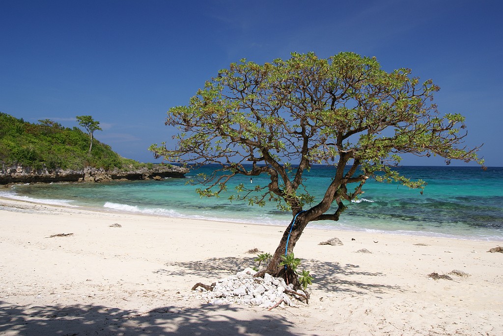 DSC09329.JPG - Malapascua