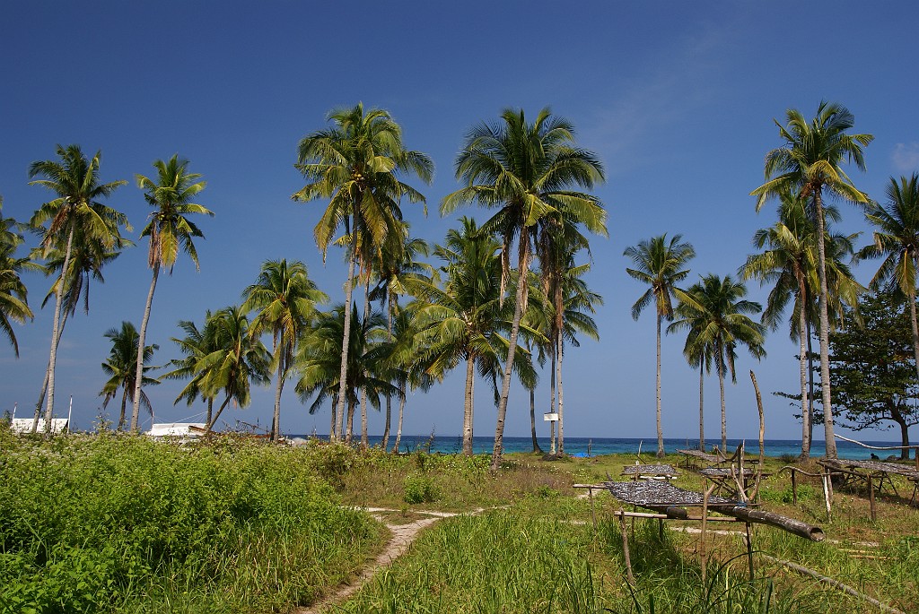 DSC09347.JPG - Malapascua