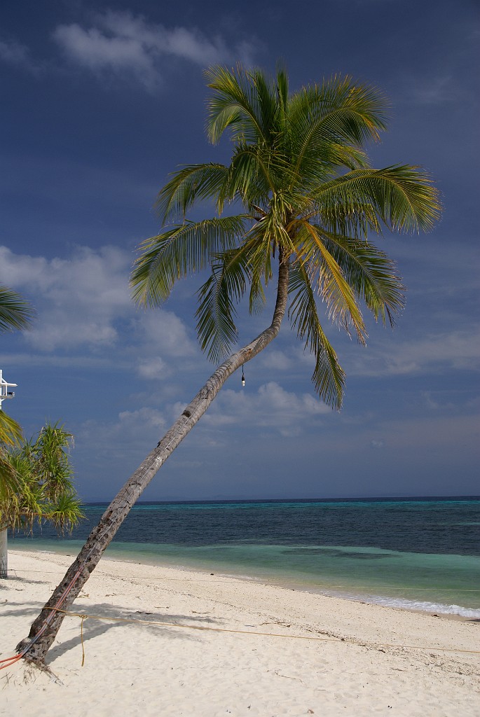 DSC09361.JPG - Malapascua