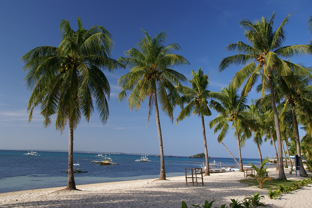 DSC09548.JPG - Malapascua