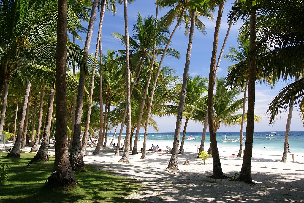 DSC09822.JPG - Panglao - Aloha Beach