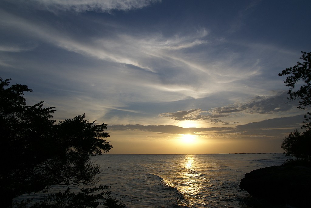 DSC09902.JPG - Panglao