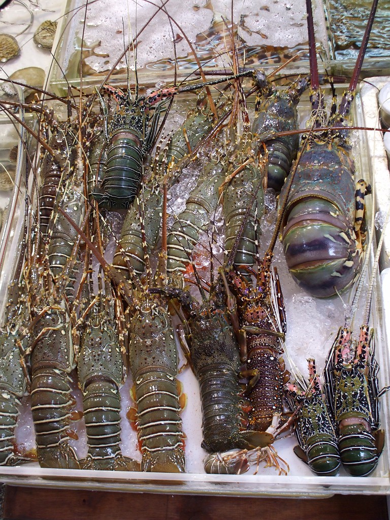 DSCF6605.JPG - Hongkong