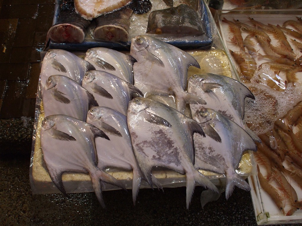 DSCF6609.JPG - Hongkong