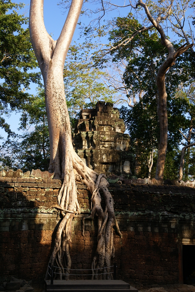DSC08162.JPG - Angkor Wat