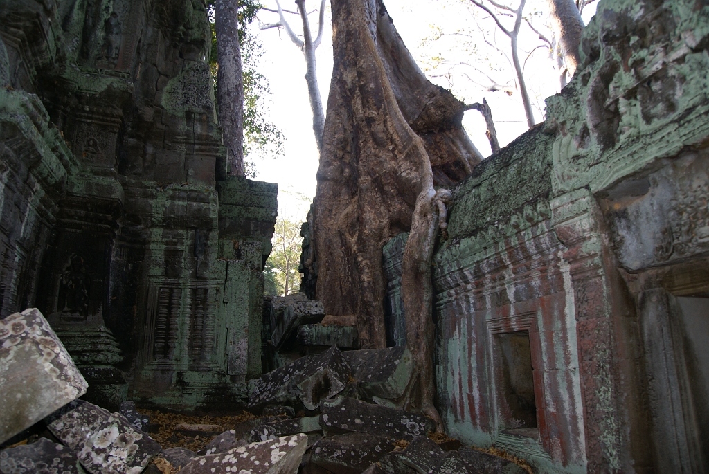 DSC08211.JPG - Angkor Wat