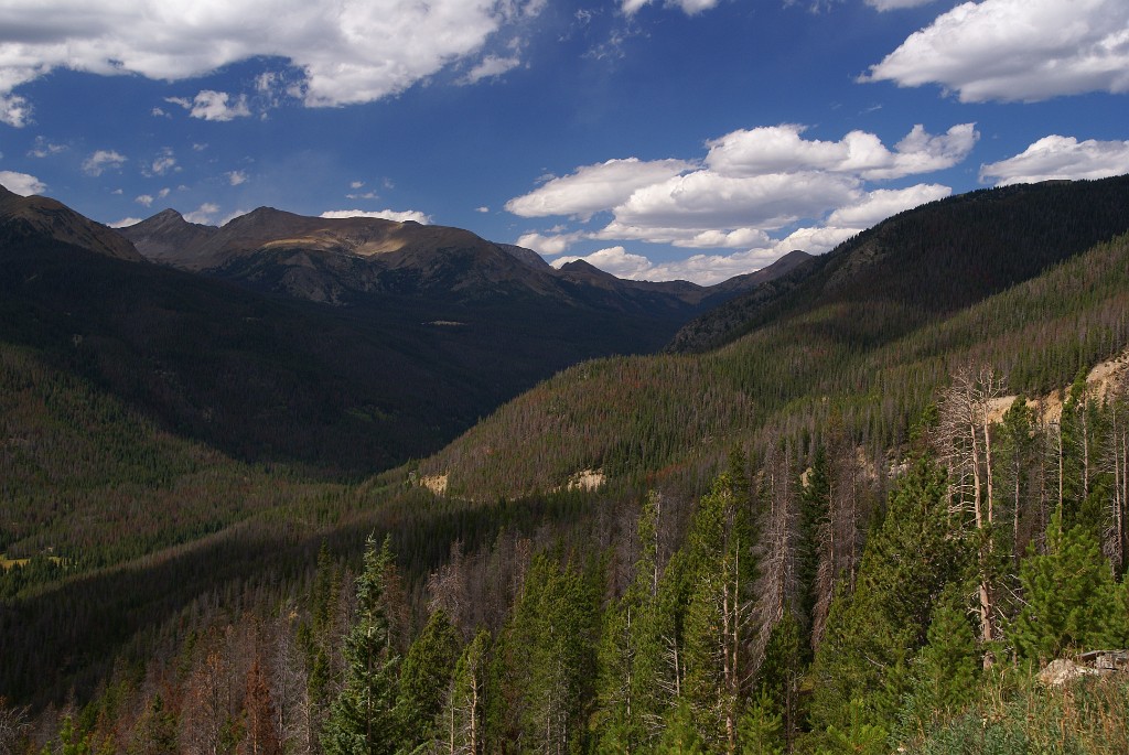 DSC04528.JPG - Rocky Mountain NP