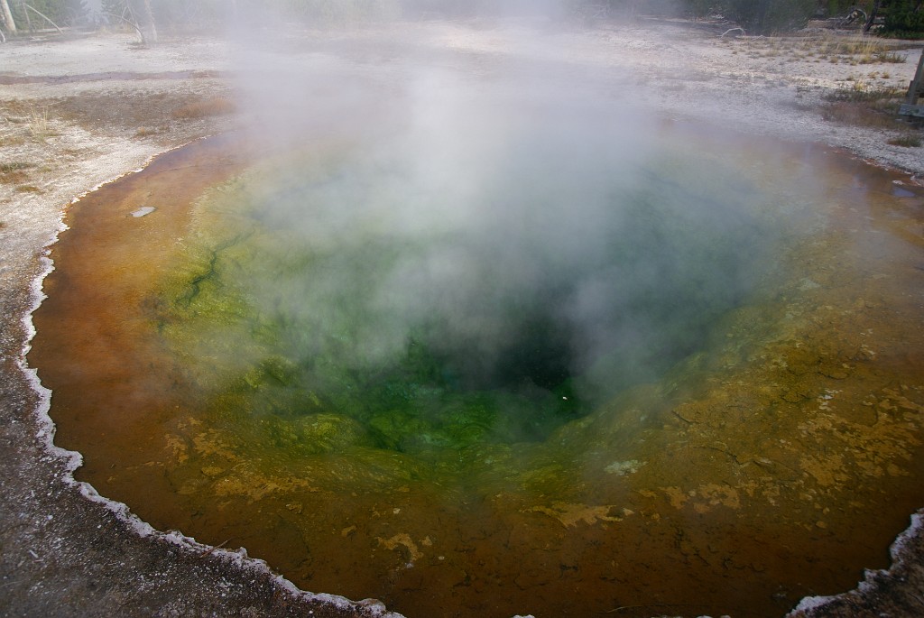 DSC05011.JPG - Morning Glory