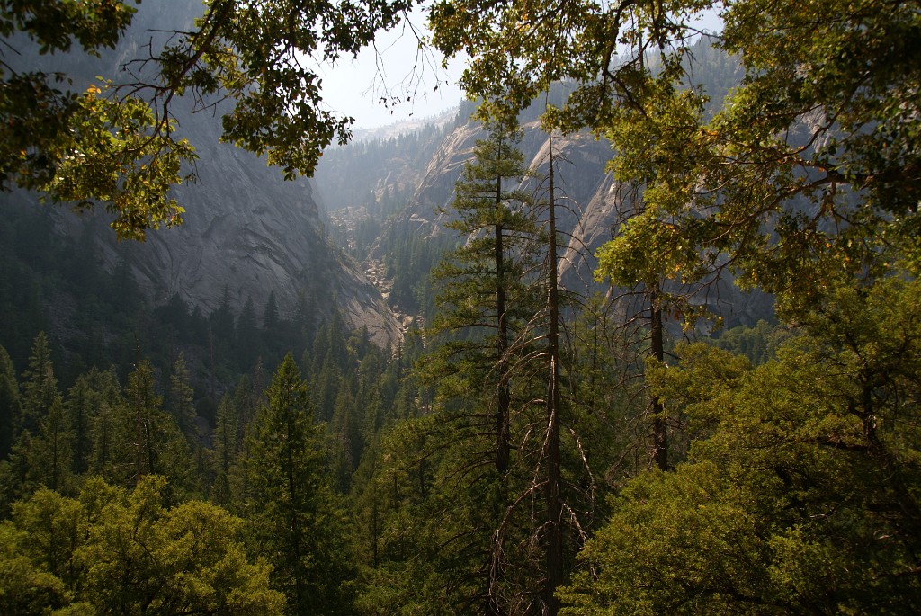 DSC07353.JPG - Yosemite