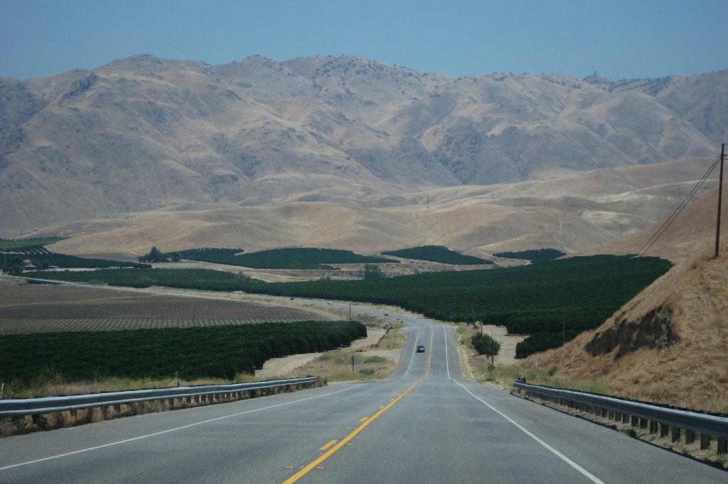 IMG_0665.JPG - Auf dem Weg ins Death Valley - riesige Orangenplantagen