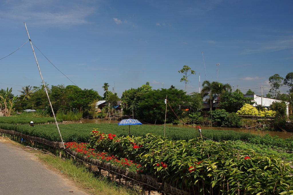 DSC04256.JPG - Am Mekong River